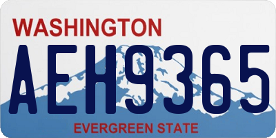 WA license plate AEH9365