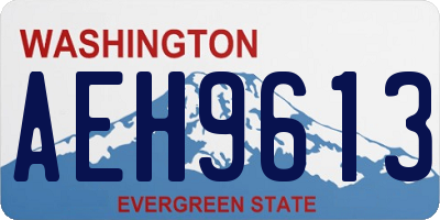 WA license plate AEH9613