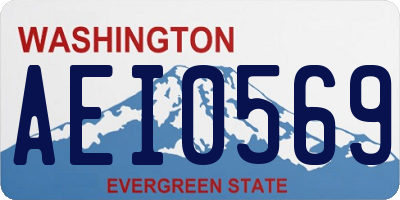 WA license plate AEI0569