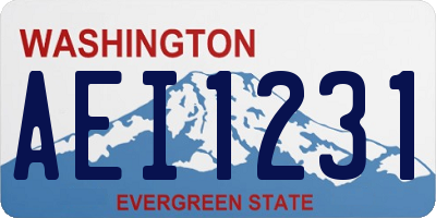 WA license plate AEI1231