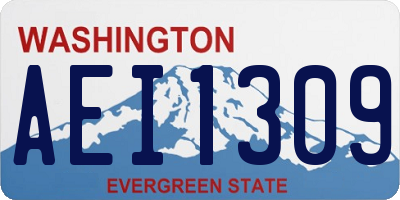 WA license plate AEI1309