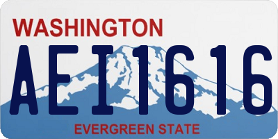 WA license plate AEI1616