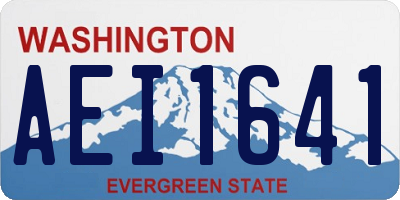 WA license plate AEI1641