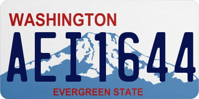 WA license plate AEI1644
