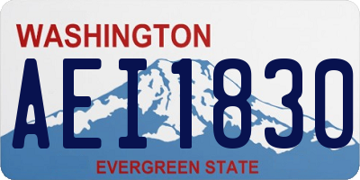 WA license plate AEI1830