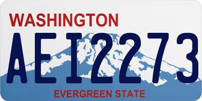 WA license plate AEI2273