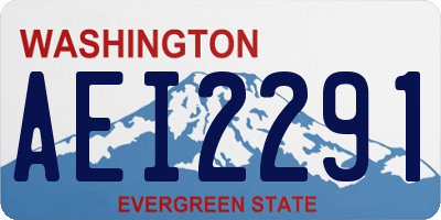 WA license plate AEI2291