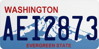 WA license plate AEI2873