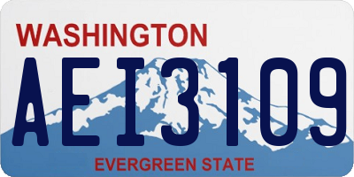 WA license plate AEI3109