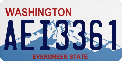 WA license plate AEI3361