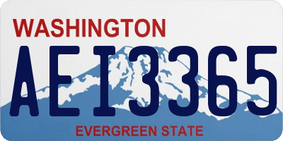 WA license plate AEI3365