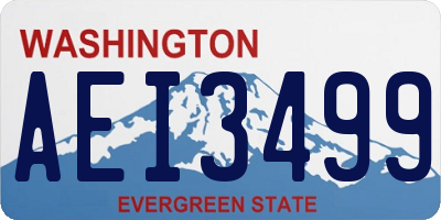 WA license plate AEI3499