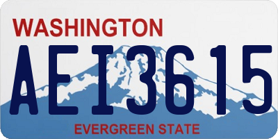WA license plate AEI3615