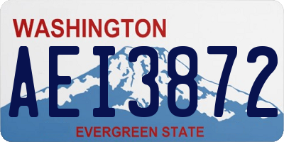 WA license plate AEI3872