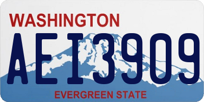 WA license plate AEI3909