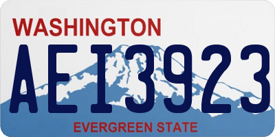 WA license plate AEI3923