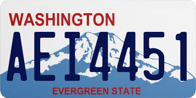 WA license plate AEI4451