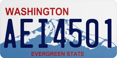 WA license plate AEI4501