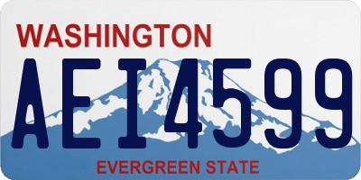WA license plate AEI4599