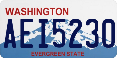 WA license plate AEI5230