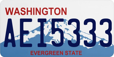 WA license plate AEI5333