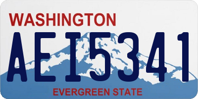 WA license plate AEI5341