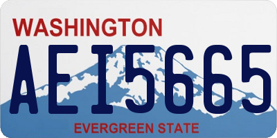 WA license plate AEI5665