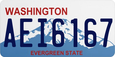 WA license plate AEI6167