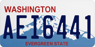 WA license plate AEI6441