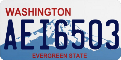 WA license plate AEI6503