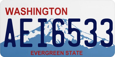 WA license plate AEI6533