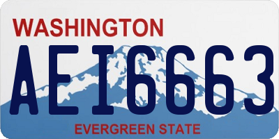 WA license plate AEI6663