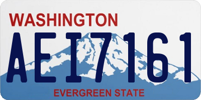 WA license plate AEI7161