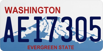 WA license plate AEI7305