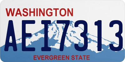 WA license plate AEI7313