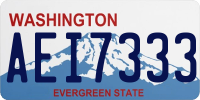 WA license plate AEI7333