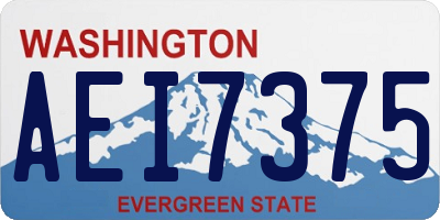 WA license plate AEI7375