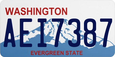 WA license plate AEI7387
