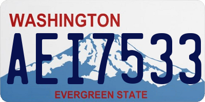 WA license plate AEI7533