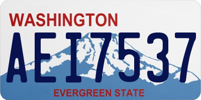 WA license plate AEI7537