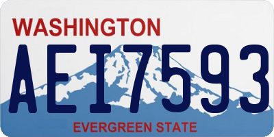 WA license plate AEI7593