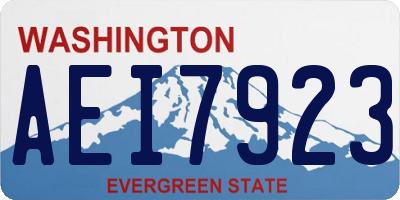 WA license plate AEI7923