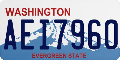 WA license plate AEI7960