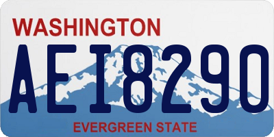 WA license plate AEI8290