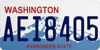 WA license plate AEI8405