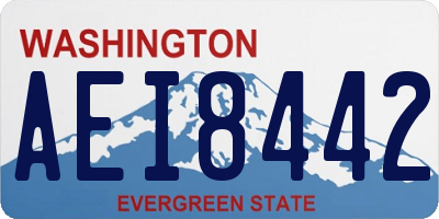 WA license plate AEI8442