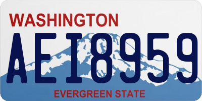 WA license plate AEI8959