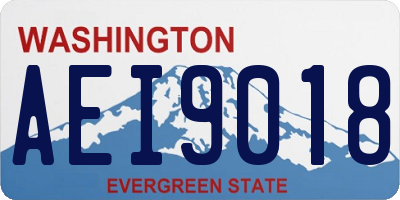 WA license plate AEI9018