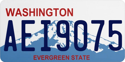 WA license plate AEI9075