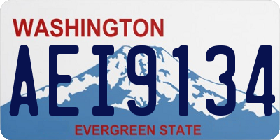 WA license plate AEI9134